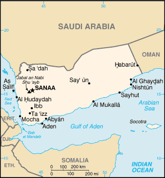 也门的局势正在根据“利比亚局势”发展