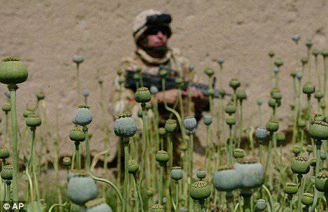 Drug use by the US military is becoming widespread