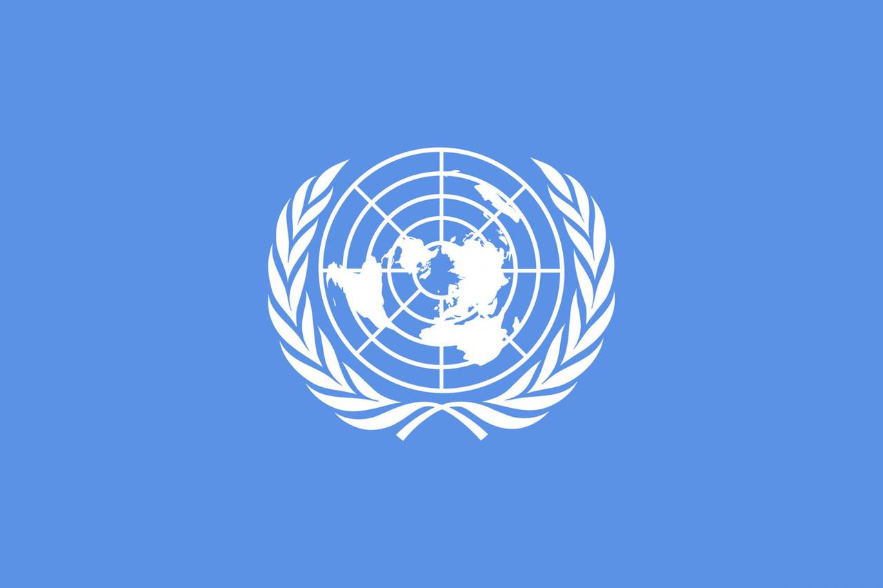 Совет Организации Объединённых Наций по правам человека принял «сирийскую» резолюцию
