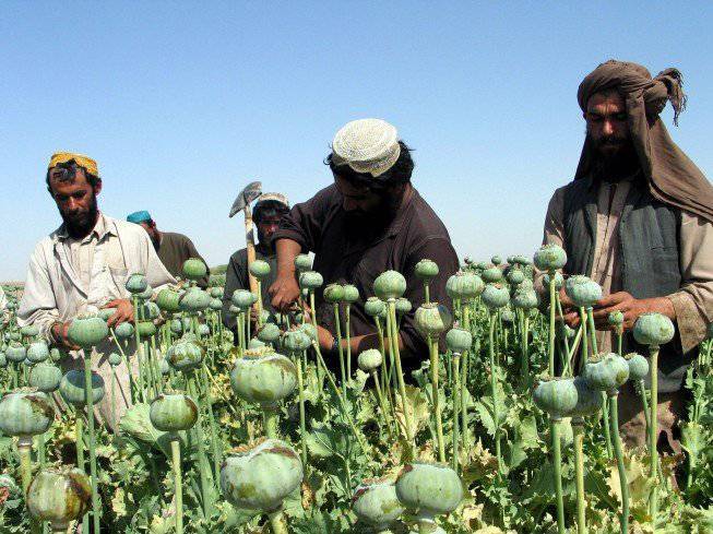 Oroszország megoldhatja az afgán kábítószer-kereskedelem kérdését