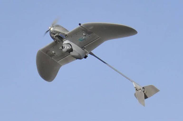 Nuovo piccolo UAV Wasp AE