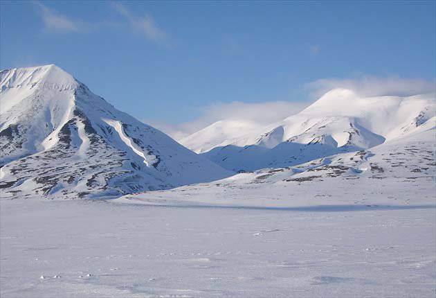 Минобороны РФ решило разработать арктический тягач