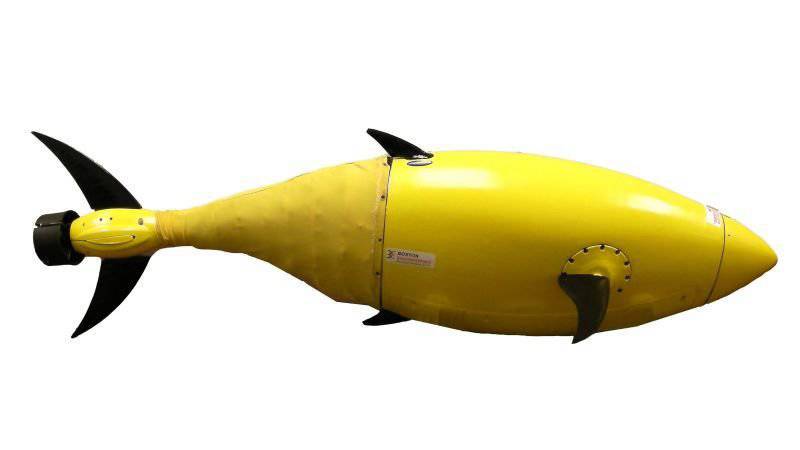 Máquina robótica subaquática “BIOSwimmer” - atum eletrônico