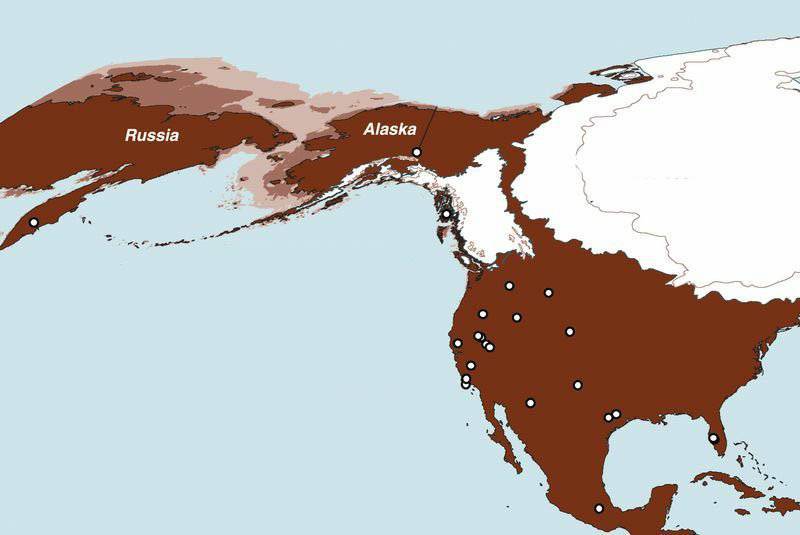 Итоги недели. «У нас тут хоть и не Чикаго, но мы не любим, когда на нас кладут из-под хвоста!»