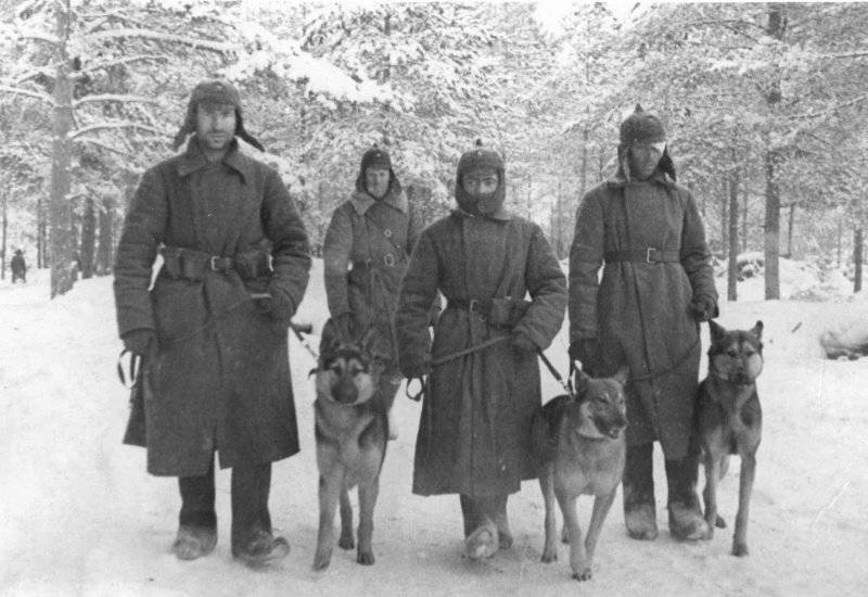 Psi na frontách Velké vlastenecké války