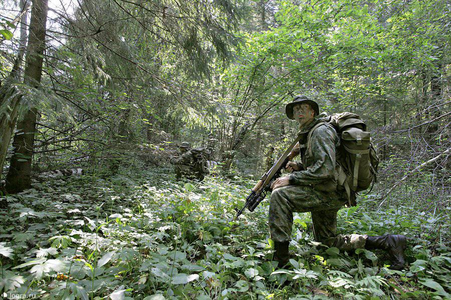 Сайт военный поиск. 45 Полк спецназа ВДВ. Спецназ гру разведка в лесу. Спецназ в лесах. Разведчики в лесу.