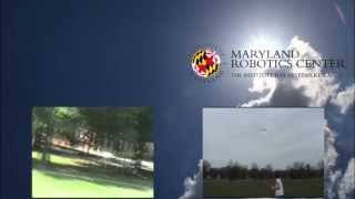 Посмотрите на роботизированного «ворона», который летает как настоящая птица