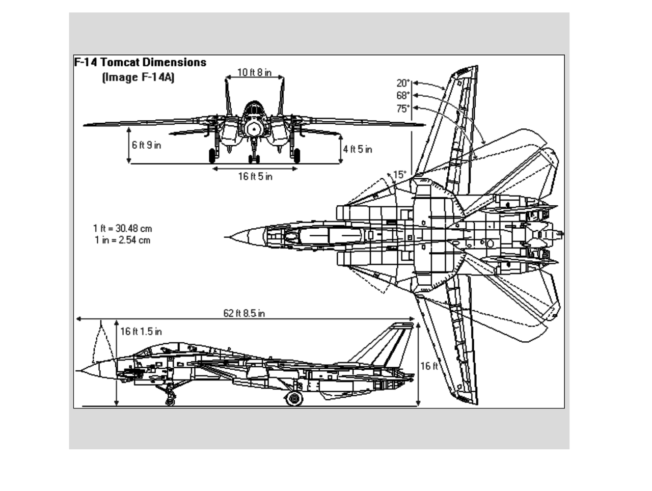 Палубный истребитель F-14 "Томкэт" .