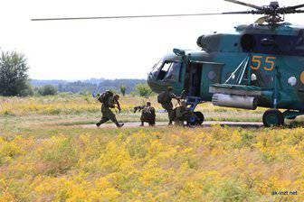 ウクライナ軍の8陸軍隊の最高の諜報部隊が特定されます