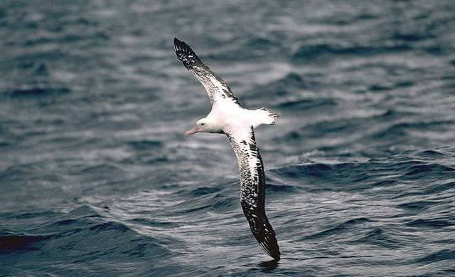 Les Américains développent un avion qui n'a pas besoin de tomber par terre