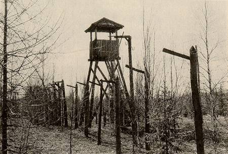 Programa educativo histórico. ¿En qué se diferencia el gulag de los campos de concentración de Occidente?