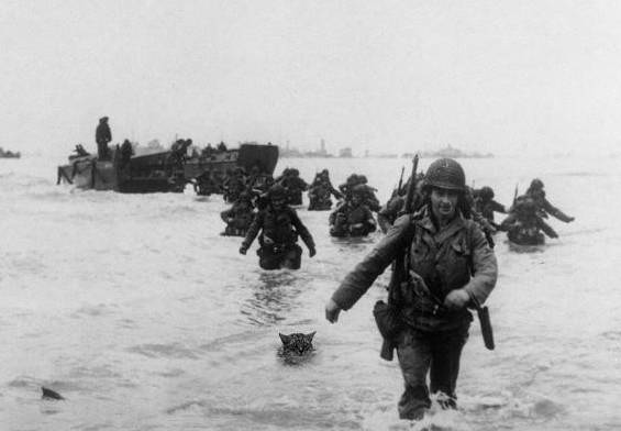 Агент под псевдонимом "Цицерон"