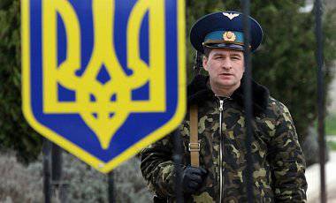 The army of Ukraine for many years deliberately destroyed: experts