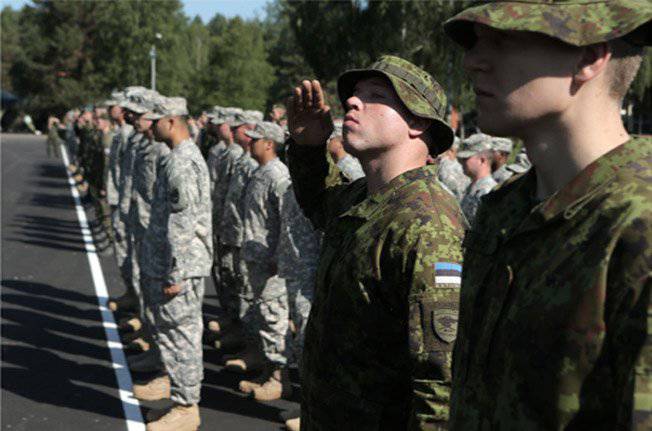 새 NATO는 Baltics에서 연습합니다 - Sabre Strike 2014. 라트비아 인, 화단 돌보기