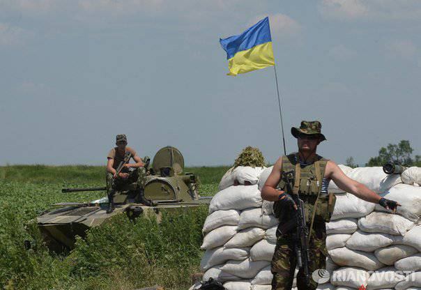 K. Shurov: "Myndigheterna i Ukraina är i någon form av galenskap"