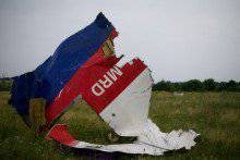 Вашингтон и Киев без экспертизы "знают", кто сбил "Боинг"