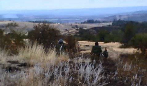 Отряд Моторолы успешно действует в районе Снежного