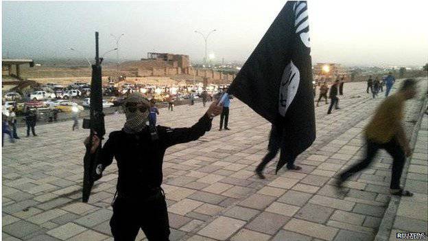 Американцев напугали известия о гибели Маккейна в Сирии