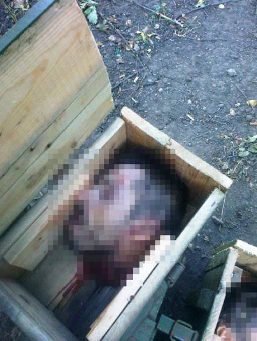 Информация о посылках с головами убитых ополченцев ДНР – правда или вымысел?