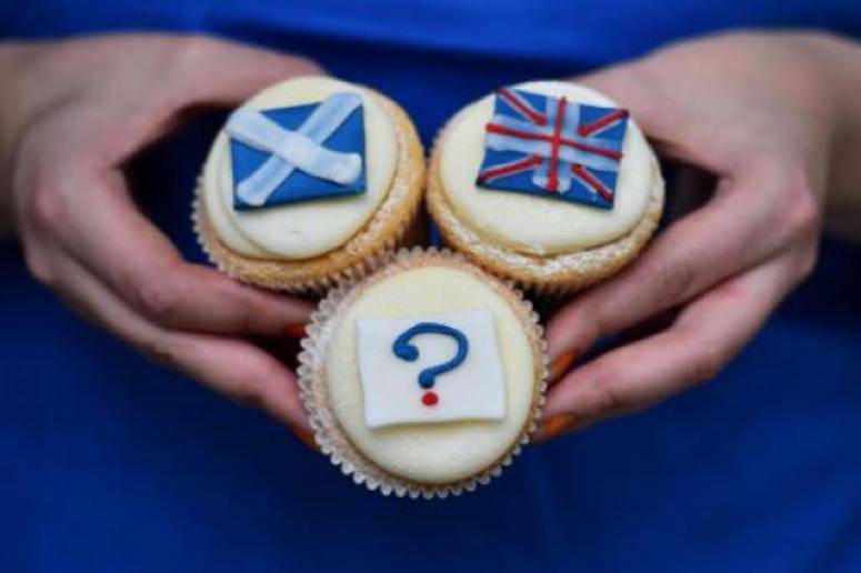 Российские наблюдатели заявили о беспрецедентных нарушениях в ходе шотландского референдума