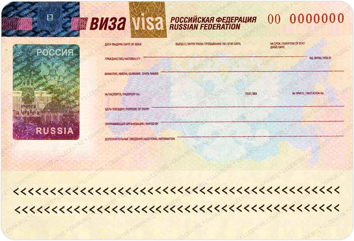 ロシア連邦の公衆会議所でEU諸国の市民のための一時的なビザ制度の廃止を提案