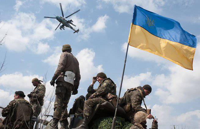 대대 "Azov"지휘관 : 우크라이나 군대의 명령은 민병대에 정보를 전송합니다.