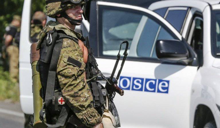 Киев разделит Новороссию на «секторы безопасности»