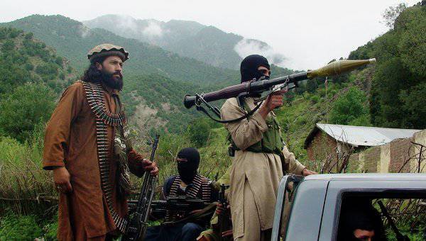 탈레반 전투원, 아프가니스탄에서 호주 시민 탄압