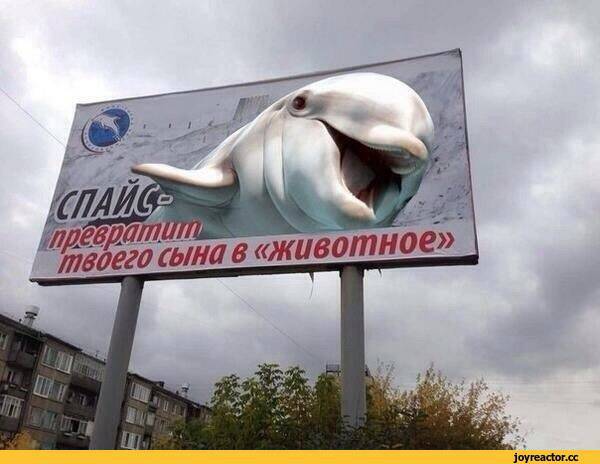 Спайсовый удар по России