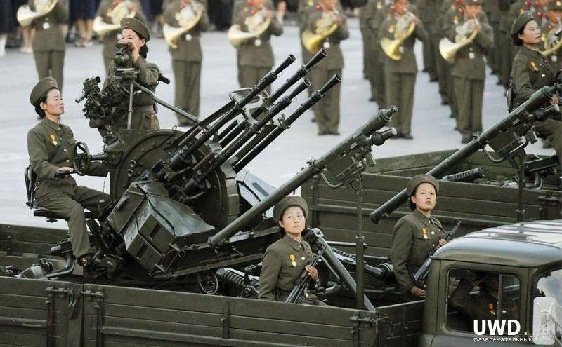 朝鲜进口武器图片