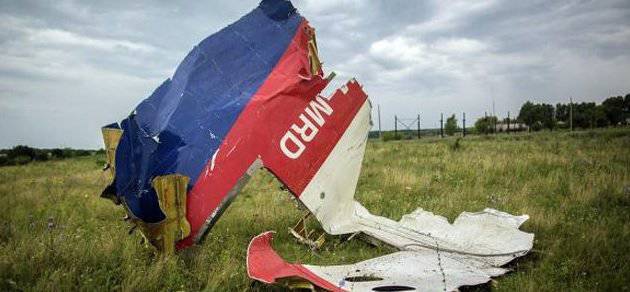 基辅驳斥了德国情报机构关于谁应对顿涅茨克附近的波音777坠机负责的结论