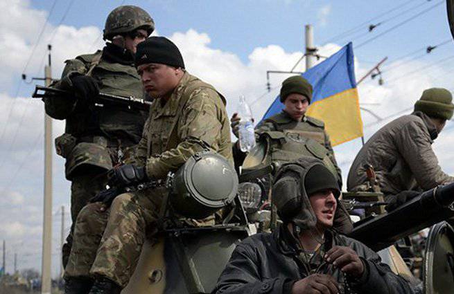乌克兰志愿领土防卫营遭到解散威胁