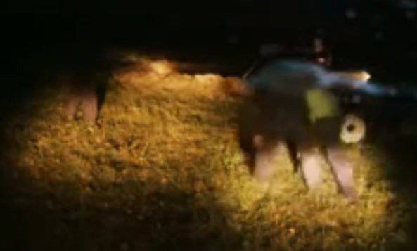 В Youtube появился ролик казни людей украинскими карателями