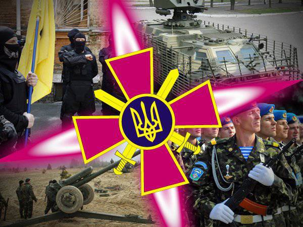 Alexander Zapolskis. Donbass에 곧 공격에있는 우크라이나 육군의 힘에