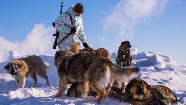 I militari russi si sono stabiliti sull'isola artica di Wrangel