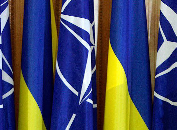 Les députés ukrainiens nouvellement frappés ont identifié l'objectif principal de l'Ukraine: l'adhésion à l'OTAN