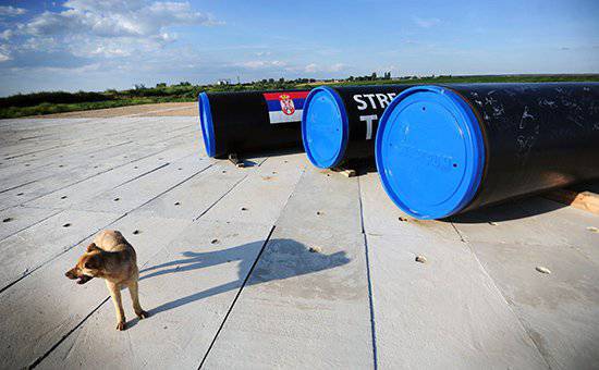 Кого приговорили Путин и Миллер: «Южный поток» или Южную Европу?