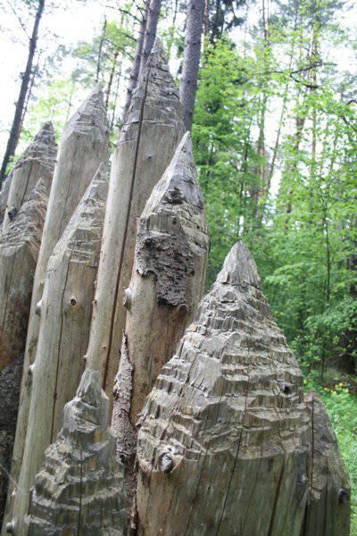 «Не токмо противиться русским не дерзнули, но и оглянуться на них едва смели»