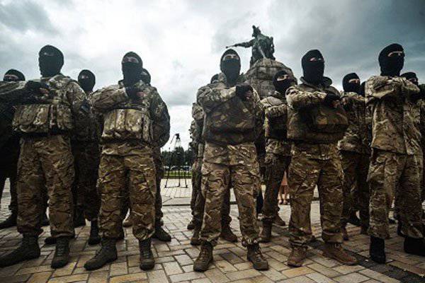 Представители "добровольческих" батальонов Украины никак не могут получить льготы участников "АТО"