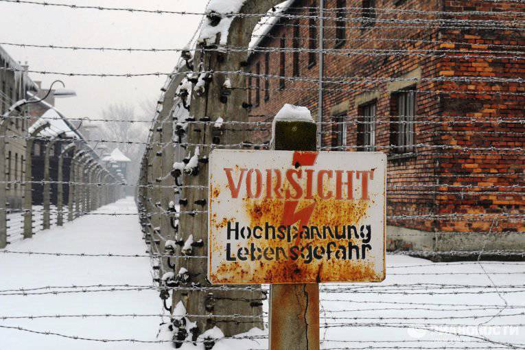 СМИ: освобождал Освенцим СССР, а на церемонию пригласили немца