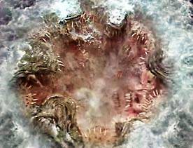 Между Сциллой и Харибдой. Часть вторая