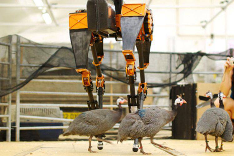 Американские инженеры заявили, что создали самый быстрый двуногий робот в мире