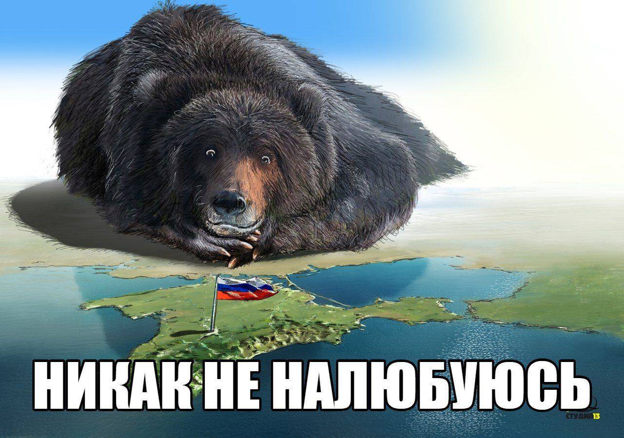 Россия про там. Медведь Россия. Никак не налюбуюсь. Медведь Россия картинки. Крым наш никак не налюбуюсь.