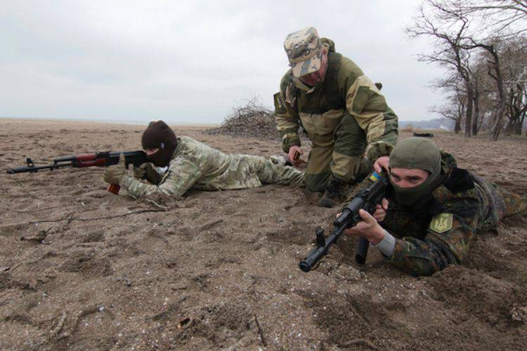 ウクライナへの西部の非致命的援助