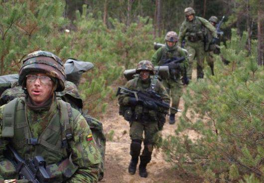 В Литве заговорили о возможности создания штрафных батальонов