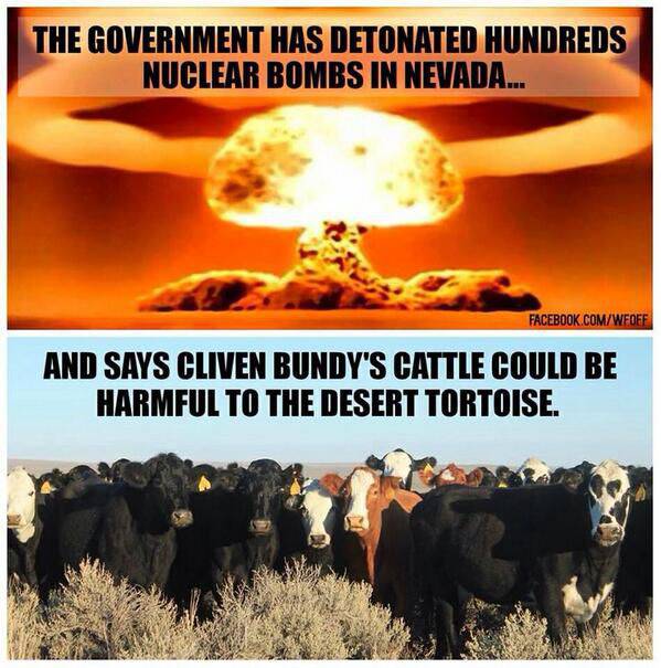 «Государство взорвало в Неваде сотни ядерных бомб и теперь утверждает, что скот Клайвена Банди вредит пустынной черепахе»