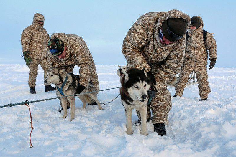 Pour la première fois dans les conditions du pôle Nord, la division des forces aéroportées effectue une marche de plusieurs kilomètres sur des traîneaux à chiens
