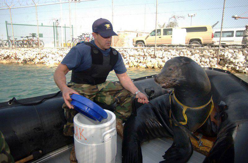 Морские млекопитающие на военной службе