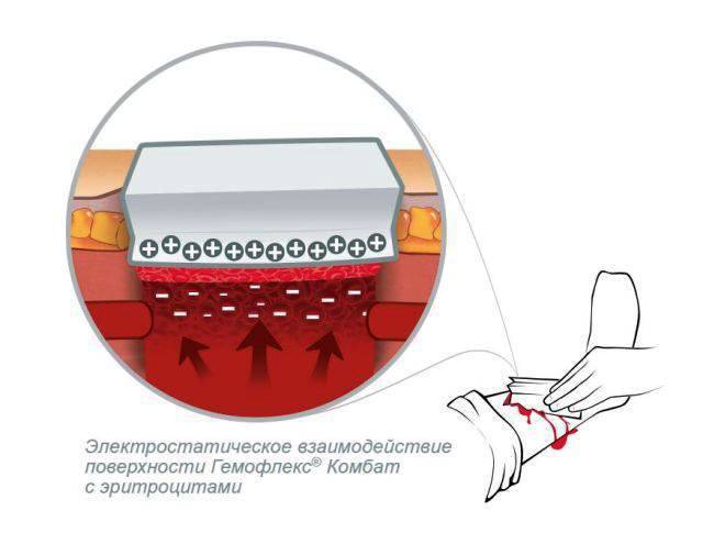 The company "Inmed" has developed a new hemostatic agent