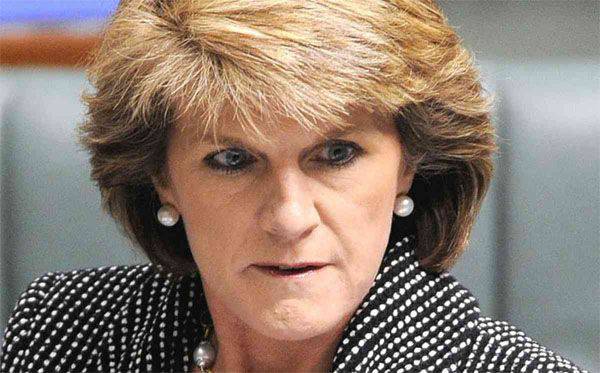 Australian Foreign Minister Julie Bishop on a YouTube video "established the involvement of pro-Russian rebels in the crash of the Malaysian Boeing"